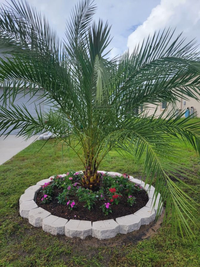 Professional Landscaping Services