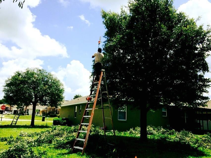 Sod Installation Service (13)