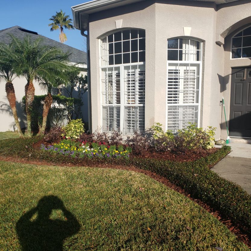 Sod Installation Service